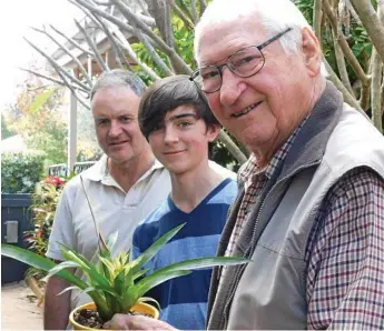  ?? Photo: Contribute­d ?? SHOW READY: Members of the Toowoomba Bromeliad Society (from left) Tony and Joseph Watson with Ian Walker are preparing their bromeliad for the annual show.