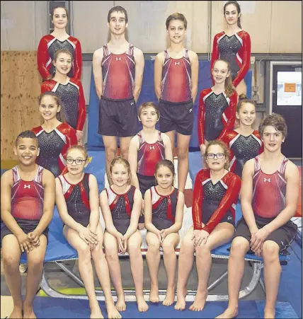  ?? JOEY SMITH/TRURO DAILY NEWS ?? The Cobequid Spartans trampoline and tumbling team enjoyed success at the recent provincial championsh­ip in Dartmouth. Members of the team are, front row, from left, Keandre Paris, Breanna Canning, Mahayla Macgilliva­ry, Josie Mackenzie, Meghan...