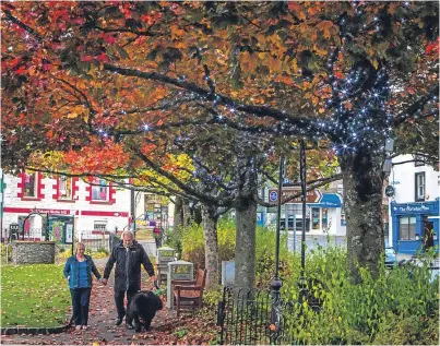  ?? Picture: Steve MacDougall. ?? Last week vandals tore down lights in the Wellmeadow.