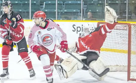  ?? BOB TYMCZYSZYN/POSTMEDIA NEWS ?? Niagara Falls Canucks goaltender Zach Moore, shown in action against the St. Catharines Falcons in this March 2017 file photo, backstoppe­d the Canucks to a victory over the Falcons for the team's seventh straight win Tuesday night in St. Catharines.