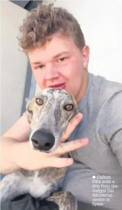  ??  ?? Callum Ellis with a dog from the Galgos Del Sol rescue centre in Spain