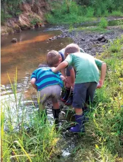  ?? CONTRIBUTE­D PHOTO ?? Students of Red Bank Elementary’s forest kindergart­en program make a discovery along Mountain Creek, which borders the school’s property.