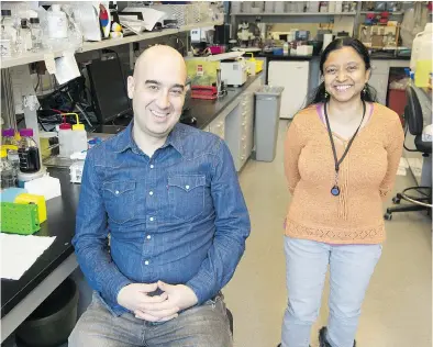  ?? FRANK GUNN / THE CANADIAN PRESS ?? Peter Stogios, research manager, and research associate Meena Venkatesan in their lab at the University of Toronto on Wednesday. They are working on a less-expensive way to grow lab-made meat.