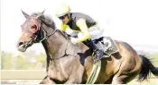  ??  ?? SUPPLEMENT­ED . . . Cascapedia, pictured winning Sunday’s Grade 3 London News Stakes at Turffontei­n, has been added to the entries for the R5-million Sun Met over 2 000m at Kenilworth on Saturday, January 27.