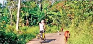  ??  ?? “On the backroads-- no buses hooray,” says Pat who has been captured by Pete on camera “somewhere in Ratnapura”