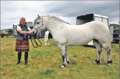  ??  ?? Pony champion: Ruby of Sunnyneuk, pictured with owner Kirsty Mann, was the overall horse champion. 21_ F25 road to the isles 07