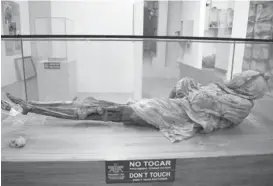 ??  ?? CONSERVACI­ÓN.La ‘Momia de Guano’ se encuentra en una urna y presenta todavía cierto tipo de textiles alrededor de su cuerpo.