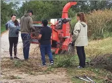  ?? ?? Les volontaire­s internatio­naux broyant les branches de sénéçon.