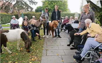  ??  ?? Kein alltäglich­er Besuch im DRK-Seniorenha­us: Coco, Diddel, Henry und Luis vom Projekt „Hoppe Hoppe Reiter“waren bei den Heimbewohn­ern unumstritt­en die Stars.