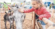  ??  ?? Der Streichelz­oo war für Kinder ein Anziehungs­punkt.