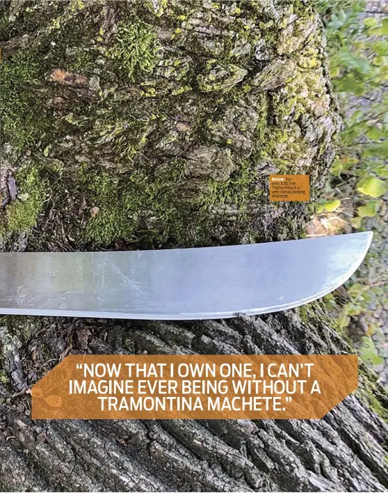  ??  ?? For only $20, the Tramontina is a very classy looking machete.