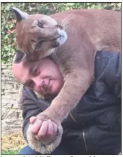  ?? (DR) ?? Le puma de Jack Muller sera-t-il envoyé dans un parc comme le demande la fauverie ?