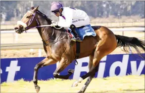  ?? JC PHOTO GRAPHICS ?? Wrecking Ball runs in Race 5 at the Vaal today. /