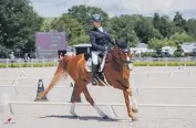  ?? LIBBY LAW PHOTOGRAPH­Y ?? Levin Para equestrian rider Louise Duncan and her mount 15-year-old Showcase BC have been selected to compete at the Paris 2024 Paralympic Games.