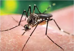  ?? —photo archives ?? The Eastern Ontario Health Unit has confirmed the first human case of West Nile virus this summer in the region. This comes after mosquitoes were positively tested for the virus in Mid-July. Until now, human cases had only been confirmed in other regions of the province.