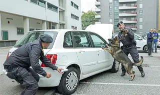  ?? (Foto Rensi\ Pretto) ?? Cinofili Il cane antidroga della guardia di finanza durante l’esercitazi­one di ieri mattina