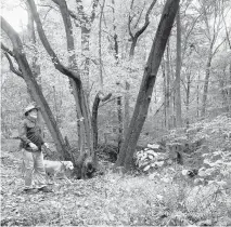  ?? JEFF HOLLAND/ CAPITAL GAZETTE ?? Jeff Holland and Max walk the loop at Bacon Ridge Natural Area.