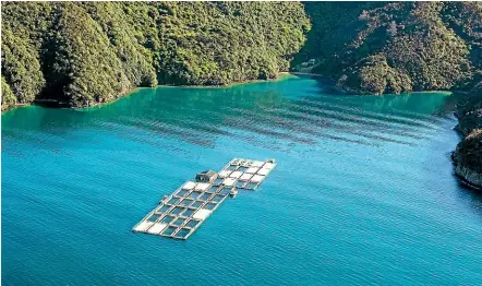  ??  ?? Mobile technology could make fish farming in the open ocean instead of sheltered bays economical­ly viable, an aquacultur­e symposium has been told.