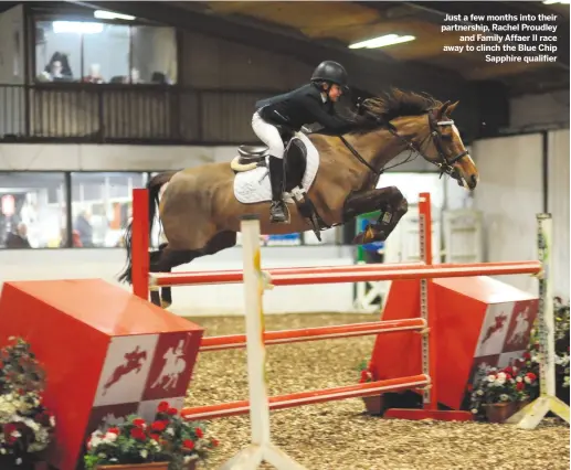  ??  ?? Just a few months into their partnershi­p, Rachel Proudley
and Family Affaer II race away to clinch the Blue Chip
Sapphire qualifier