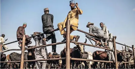  ?? | AFP ?? DESERTIFIC­ATION and the Boko Haram crisis in Nigeria’s north-east are some of the reasons nomadic herders have begun to push farther south fuelling violent clashes in the battle for resources, but the conflict also has ethnic and religious undertones.