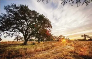  ??  ?? The Grove is the first neighborho­od in Vintage Oaks to offer properties under 1 acre with homes from three award-winning builders.