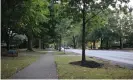  ?? Photograph: Josh Wood/The Guardian ?? Louisville’s Eastern Parkway is one of the city’s greener areas, with towering trees providing shade.