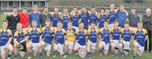  ??  ?? The Avondale Community College side who defeated Arklow CBS in Pearse Park in Arklow in the Senior B football final.