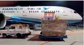  ??  ?? 29 de mayo de 2020. Un avión con suministro­s médicos se prepara para partir de Xiamen rumbo a Valencia, España.