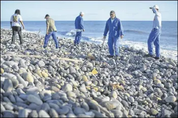  ?? BEN CURTIS / AP ?? Workers for an associatio­n responsibl­e for maintainin­g paths to the beaches search for additional airplane debris near where an airplane wing part was washed up on the north coast of the Indian Ocean island of Reunion on Friday.