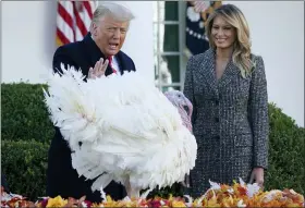  ?? PHOTOS BY SUSAN WALSH — THE ASSOCIATED PRESS ?? President Donald Trump pardons Corn, the national Thanksgivi­ng turkey, in the Rose Garden of the White House on Tuesday, as first lady Melania Trump watches.