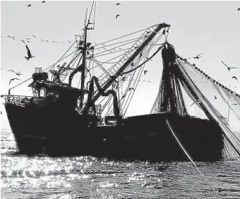  ??  ?? La pesca ilegal es uno de los temas que buscan combatir.
