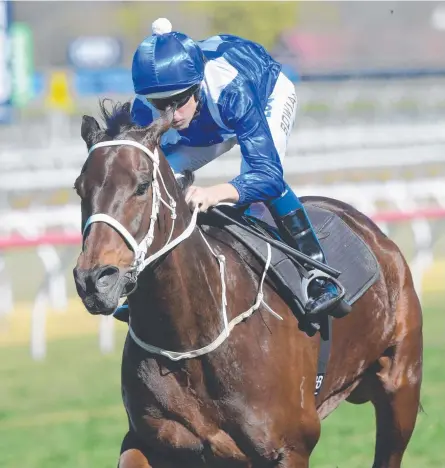  ?? WINNING TEAM: Jockey Hugh Bowman aboard Winx, who is the centre of attention for US Breeders Cup organisers. ??