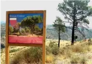  ??  ?? REFORESTAC­IÓN. El Bosque Endesa ha recibido el sello 'Compenso' de la Oficina Española de Cambio Climático por la restauraci­ón forestal.