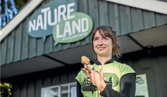  ?? BRADEN FASTIER/ STUFF ?? Natureland Keeper Toni Gordon with a female bearded dragon. Natureland wildlife sanctuary will open under level 2 withy some extra safety precaution­s in place.