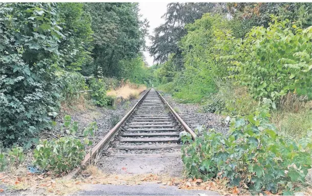  ?? FOTO: POGO ?? Das Gleis der alten Niederrhei­nbahn in Vluyn. Bis 1968 fuhren hier Personenzü­ge.