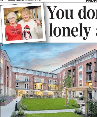  ??  ?? GARDEN ROOMS: Virginia Water’s Augustus House and residents Carol Baggins, left, and Mavis Frost. Inset, right, Margaret Lawson and cuddly Mabel at Bishopstok­e Park in Hampshire