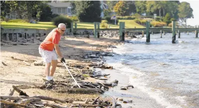  ?? PHOTOS BY JEN RYNDA/CAPITAL GAZETTE ?? General manager Joe Pomerantz rakes debris to clear a path for Tom and Sara Helmke's Hobie Cat 17 at Podickory Point Yacht Club in Annapolis on Wednesday.