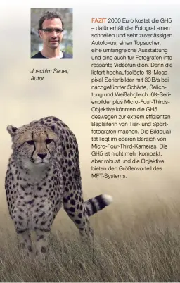  ??  ?? Joachim Sauer, Autor