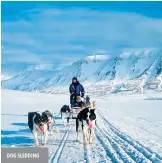  ??  ?? Dog sleDDing