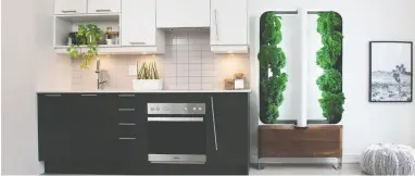  ??  ?? The AEVA indoor garden system
in a kitchen.