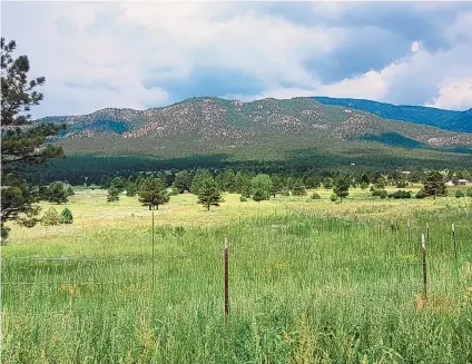  ?? COURTESY OF JERRY PACHECO ?? Land the columnist inherited in Turquillo in northern New Mexico. The land is currently threatened by the Hermits Peak/Calf Canyon Fire.