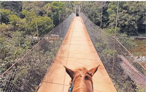  ?? FOTOS: LEIF KUBIK ?? Vom Pferderück­en aus kann man in Panama fernab der Touristens­tröme den Regenwald entdecken.