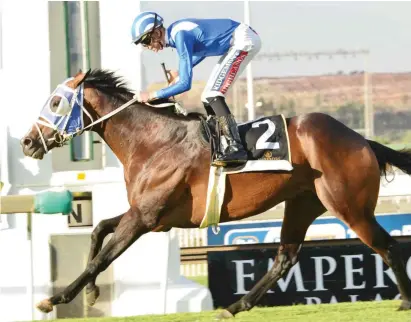  ?? Picture: JC Photograph­ics ?? CLASS PERFORMER. Barahin could find his way back into the winner's enclosure when he lines up in Race 6, a Pinnacle Stakes over 1800m, on the Standside track at Turffontei­n tomorrow.