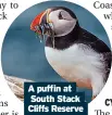  ??  ?? A puffin at South Stack Cliffs Reserve