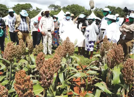  ?? — Picture: Memory Mangombe ?? Lands, Agricultur­e, Fisheries, Water and Rural Resettleme­nt Minister Dr Anxious Masuka and his Malawian Minister of Agricultur­ecounterpa­rt Lobin Lowe, Minister of State for Mashonalan­d East Provincial Affairs Apollonia Munzvereng­wi, Malawi’s ambassador to Zimbabwe Annie Kumwenda and Permanent Secretary in the Ministry of Lands, Agricultur­e, Fisheries, W ater and Rural Resettleme­nt John Bhasera (second from left) duri ng a field visit at Rotary Arnold Research Station in Goromonzi recently