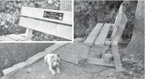  ?? [SUBMITTED] ?? A memorial bench for David John Simon that sat along the Grand River at the golf course in Conestogo before last month’s flood swept it away.