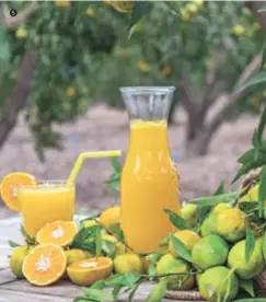  ??  ?? Taze sıkılmış mandalina suyu Bodrum kahvaltısı­nın vazgeçilme­zi. Freshly squeezed mandarin juice is an essential part of breakfasts in Bodrum.