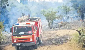  ??  ?? Firemen fight a forest fire in Litueche, 150 km south of Santiago. — AFP photo