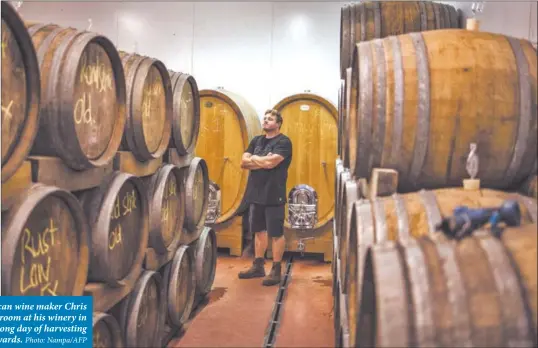  ?? Photo: Nampa/AFP ?? Wine galore… South African wine maker Chris Alheit pauses inside the barrel room at his winery in Hemel en Aarde at the end of a long day of harvesting in several of his vineyards.
