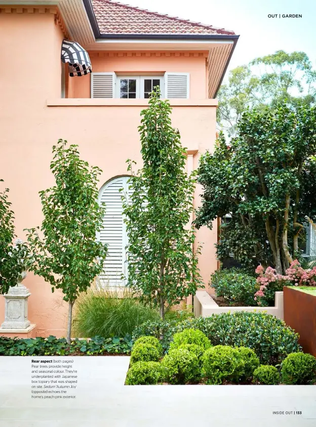  ??  ?? Rear aspect (both pages) Pear trees provide height and seasonal colour. They’re underplant­ed with Japanese box topiary that was shaped on site. Sedum ‘Autumn Joy’ (opposite) echoes the home’s peach-pink exterior.